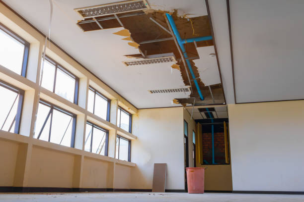 Best Ceiling water damage repair  in Oneida, NY