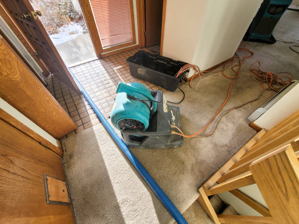 Best Water damage restoration near me  in Oneida, NY