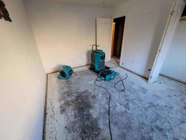Best Water damage restoration near me  in Oneida, NY