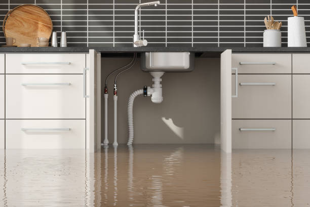 Best Local water damage restoration  in Oneida, NY