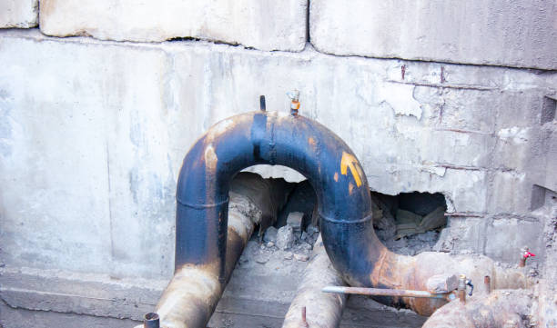 Best Mold removal after water damage  in Oneida, NY